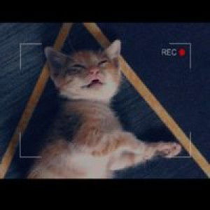 Nur Fazreen profile icon