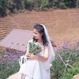 Seasons Sun profile icon