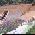 Seasons Sun profile icon