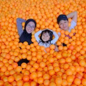 Indriayani Damayanti profile icon