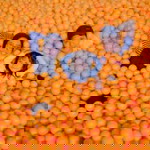 Indriayani Damayanti profile icon