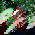 วัลลี ละชั่ว profile icon