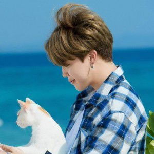 chim chim profile icon