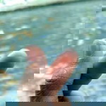 Un Khan profile icon