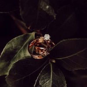 Ikna Bhayot profile icon