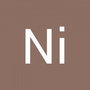 Ni 28 profile icon