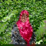 Misbah Radinghin profile icon