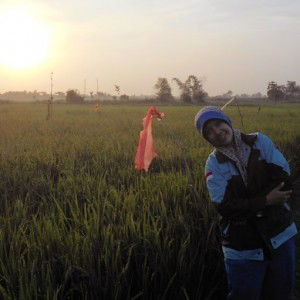 Novi Indriana Primasari profile icon