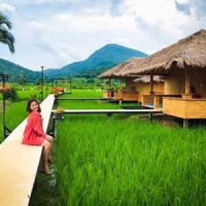 Pichaya Meepun profile icon