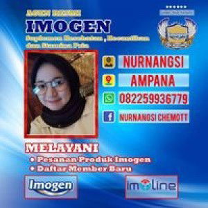 Nurnangsi Chemott profile icon