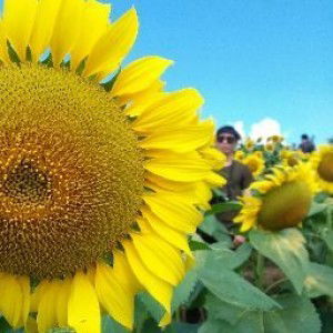 iiaerng ikwang profile icon