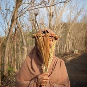 Ertina Tina profile icon