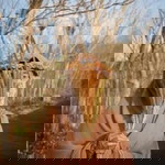 Ertina Tina profile icon