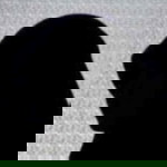 Rizky Sukaesih profile icon