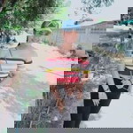 ซี' นุ่น'นน profile icon