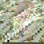 Maya Rosita profile icon