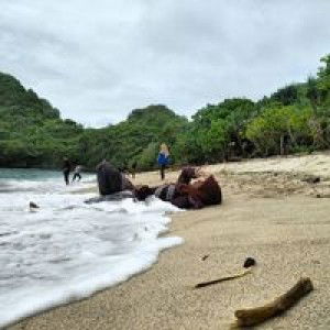 Wike Yuni Suryaningtyas profile icon