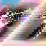 Seha Bushri profile icon