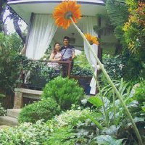 Yheng Sabino Bayla profile icon