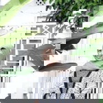 Septiana profile icon