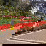 Ini Junita profile icon