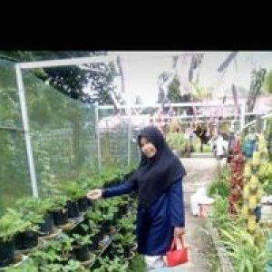 Safarila Mamaknya Nazriel profile icon