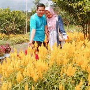 Icha Wiranata profile icon