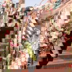 Lac Ta Soy profile icon