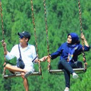 Fitri Anggraini profile icon