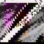 Hani Anggraeni profile icon