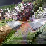 Susi Kuswanti profile icon