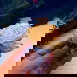 Hannah Veloso profile icon