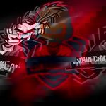 vhin channel-01 profile icon