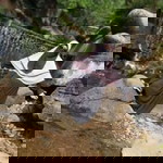 Rika Albian Albar profile icon