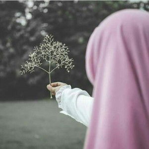 jingga matahari profile icon