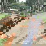 Eni Noviyanti profile icon