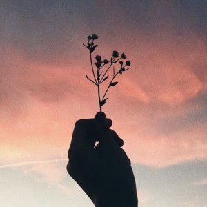 Desi Saraswati profile icon