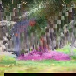 Sukanya Eve profile icon