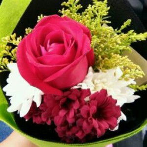 samihah mohd nasir profile icon