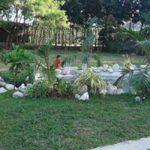 Crisanto Pelongo profile icon