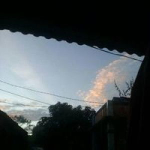 Lelawatii profile icon