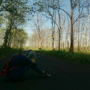 Sevia Bunga La Diva profile icon