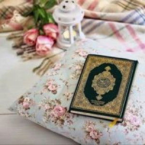 Nurul Ummu Ashraf profile icon