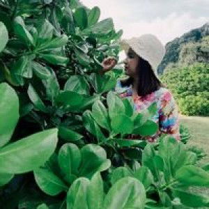 Noonut Ka profile icon