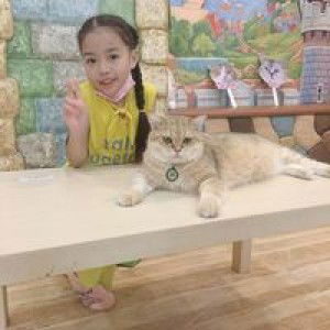 Acare Ban Khanom profile icon