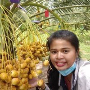 Preaw Phannipha profile icon