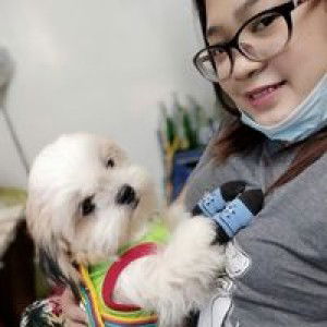 Y LY NE profile icon