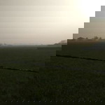 REFY MARISKA profile icon