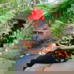 Wanraya Nayaw profile icon