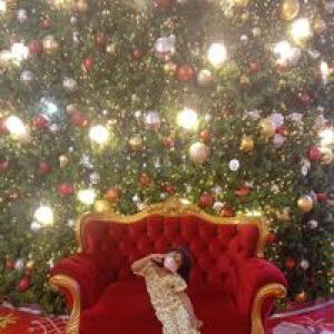 อนุพล พึ่งรม profile icon